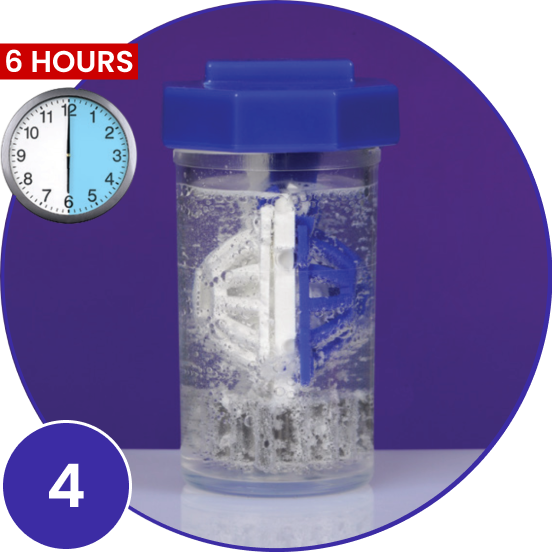 Number 4 - clock icon highlighting 6 hours of time and contact lens case holding the lens basket covered with lid